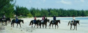 Bahamas horseback riding