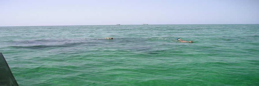 Snorkeling Bahamas